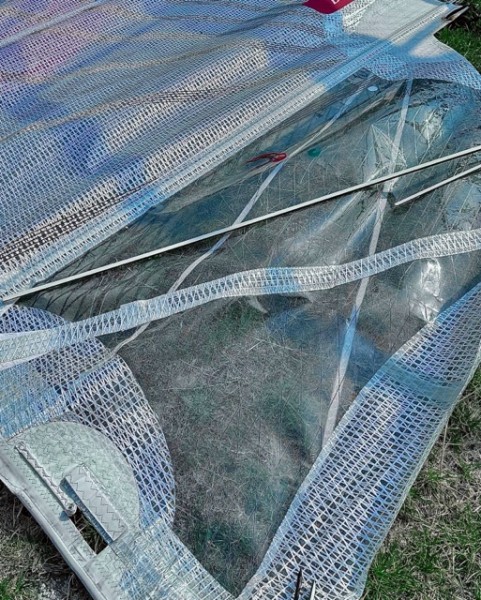 Mittel (Segel 2024_9724).jpeg